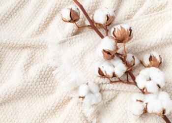 Organic Cotton Clothing