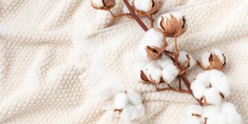 Top 10 Reasons to Switch to Organic Cotton Clothing Today! 1 Organic Cotton Clothing