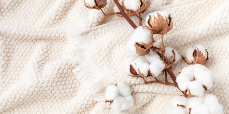 Top 10 Reasons to Switch to Organic Cotton Clothing Today! 46 Organic Cotton Clothing