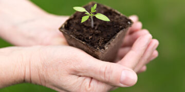 Understanding Binge Eating Disorder: Breaking the Cycle 1 Eating Disorder